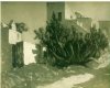 1924-1925 ca. - Mattino d'oriente
